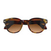 Picture of ZIPPO SUNGLASSES BROWN TORTOISESHELL